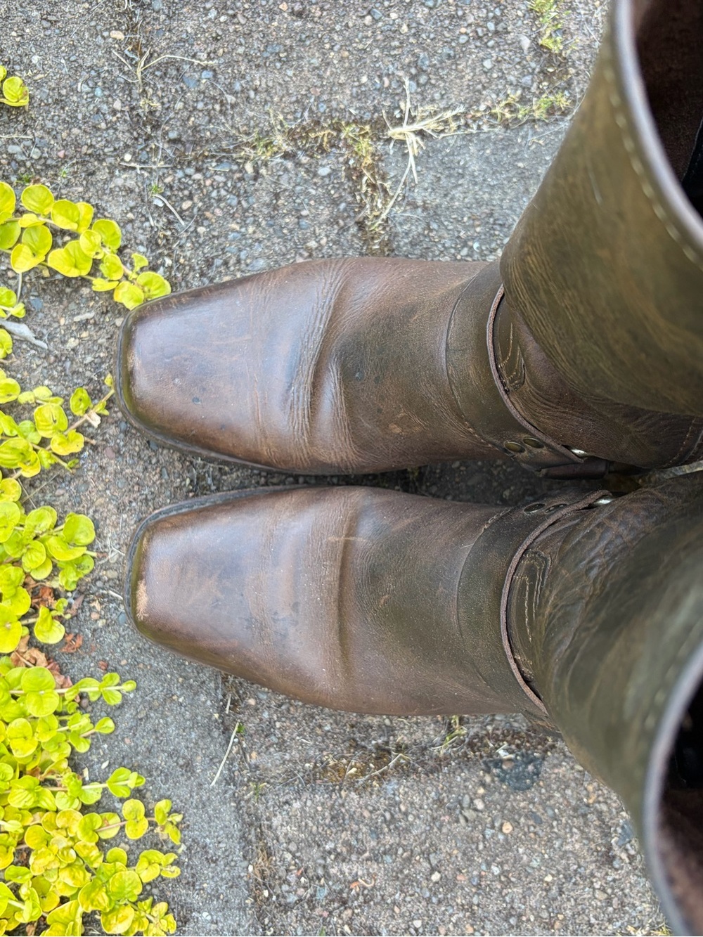 Frye Harness Boots - Picture 5 of 8